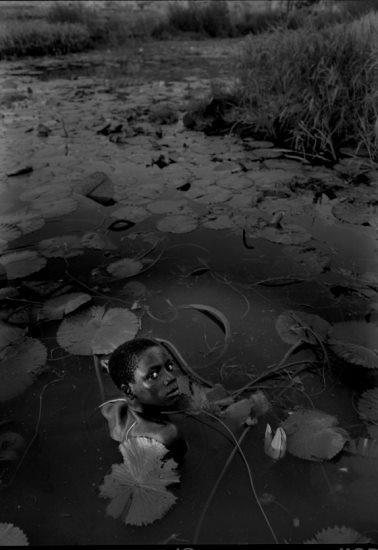 William Ropp : back