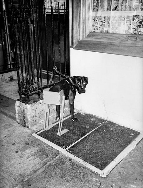 Asger Carlsen : next page