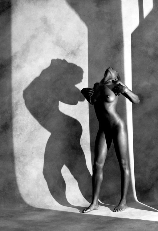 Guenter Knop : next page