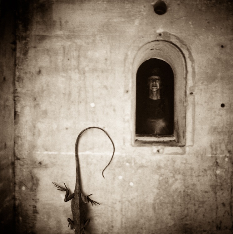 Lori Vrba : next page