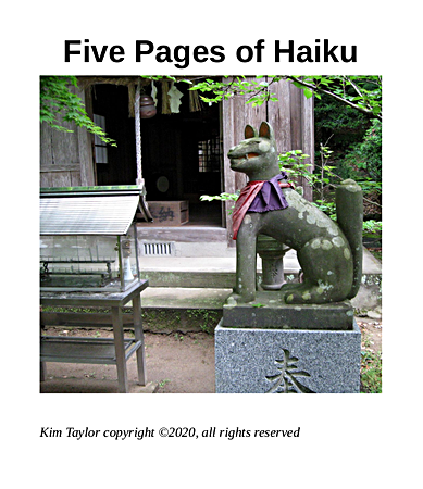 Five Pages
                of Haiku