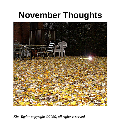 November
                Thoughts