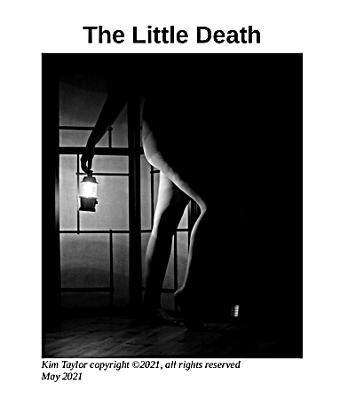 The Little
                Death